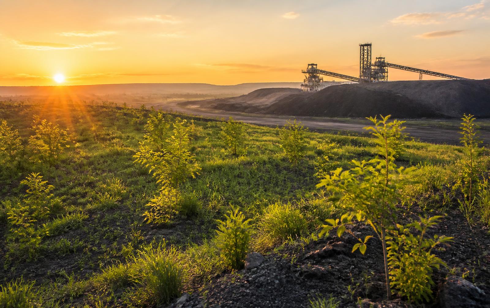Rehabilitated mine land with new vegetation at sunrise